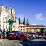 #11 / Hyundai Shell Mobis WRT / Neuville, Thierry / Wydaeghe, Martijn / Hyundai I20 N Rally1 / Central European Rally 2023
